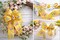 Designer’s Shop Spring Butterfly Wired Satin ribbon, 2.5 inch x 10 yards Yellow Floral Butterfly Print Decorative Ribbon. WR 63-5235